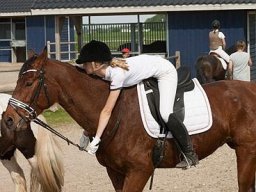 img-00341-532